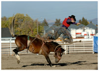 A man riding a bucking bronc