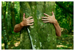 A person hugging a tree